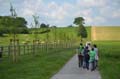 IB_DSC_2175