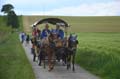 IF_DSC_2448