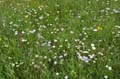 RZ_DSC_2404